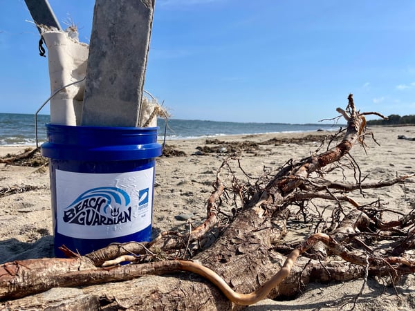 Beach guardian bucket filled with trash on the beach