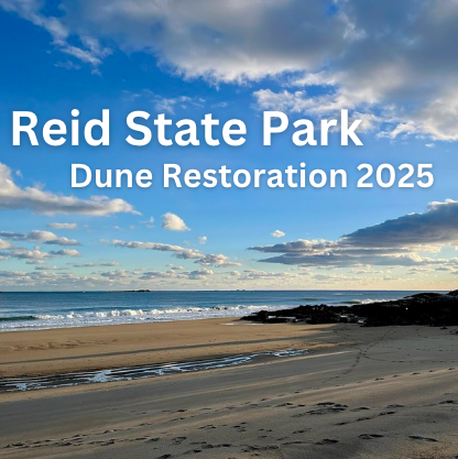 Dune Restoration at Reid Sate Park