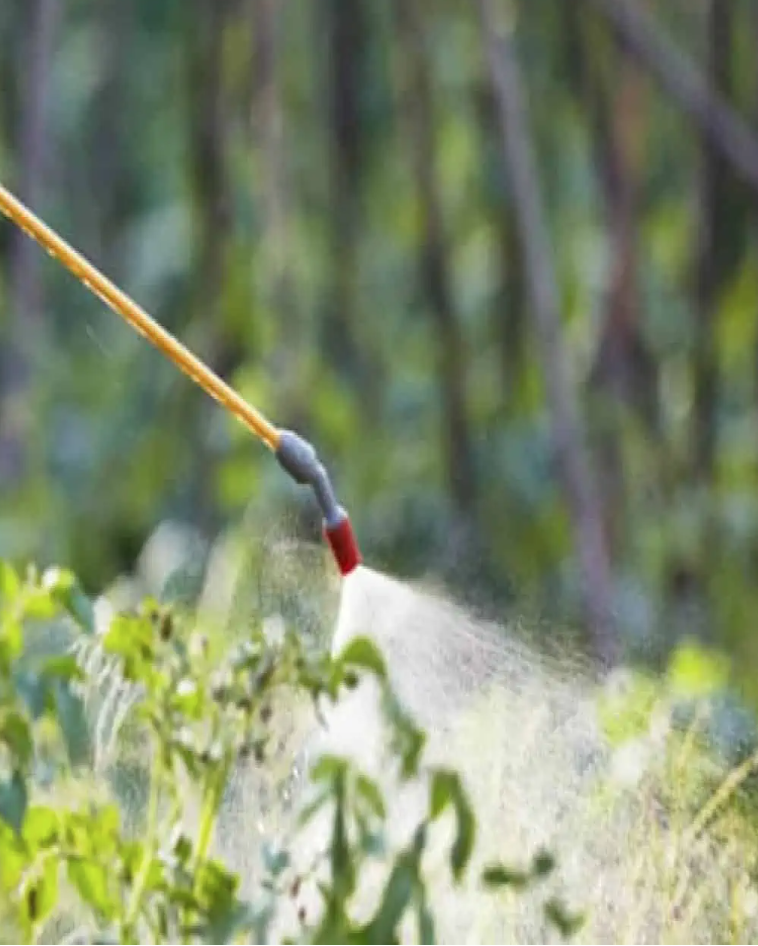 Screenshot 2026-02-16 at 2.12.36 PM